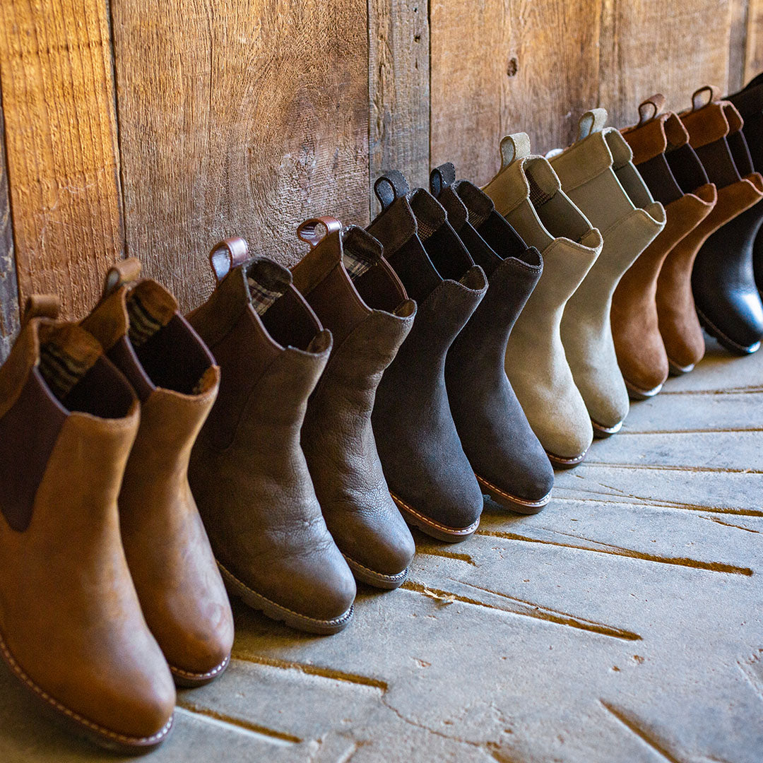 Ariat Stiefeletten