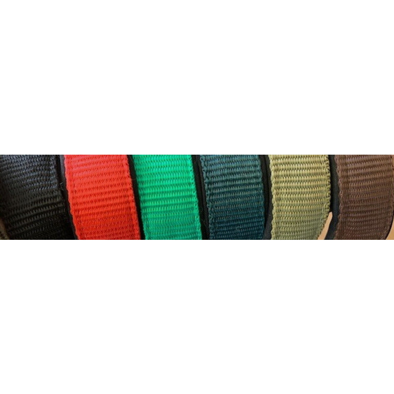 Halfter Basic - Reitstiefel Kandel - Dein Reitshop
