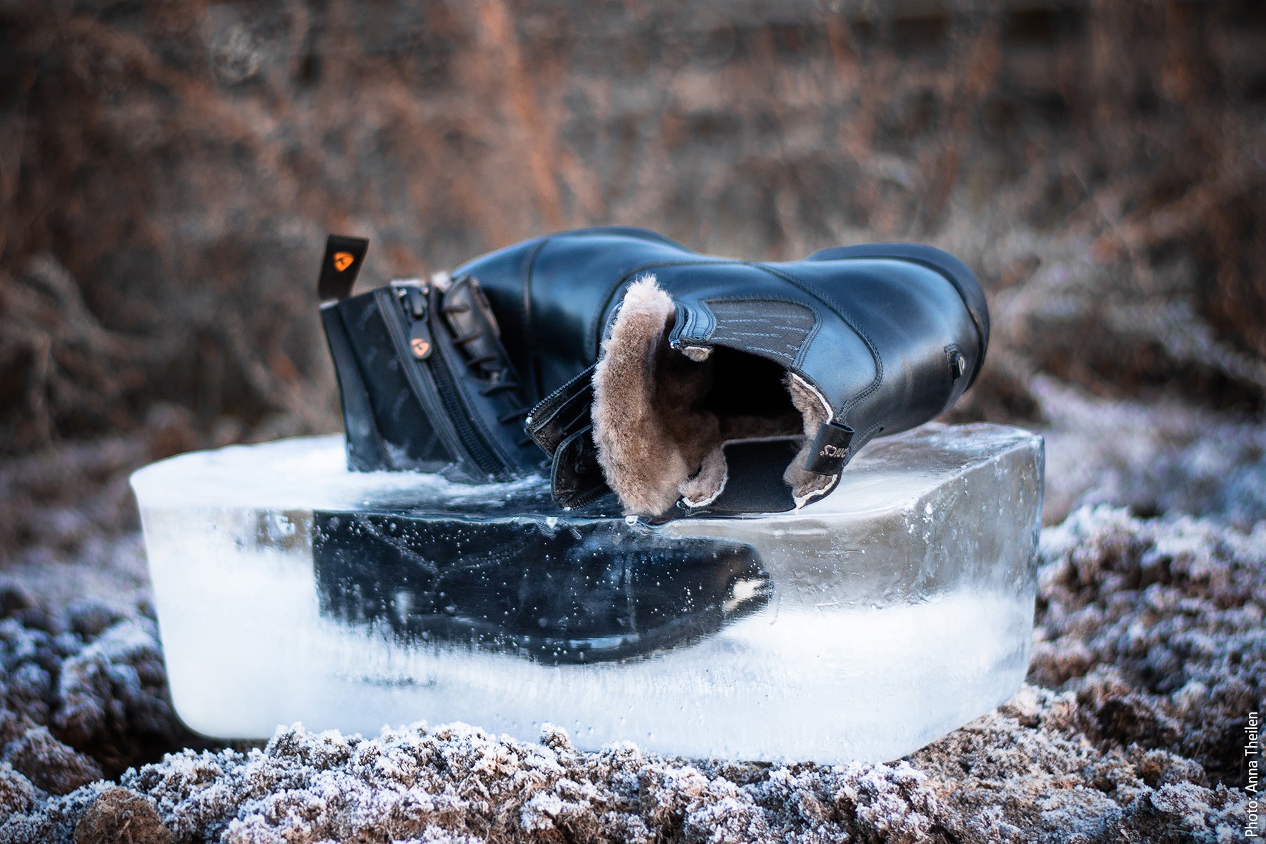 Stiefelette Stardust Frost - Reitstiefel Kandel - Dein Reitshop