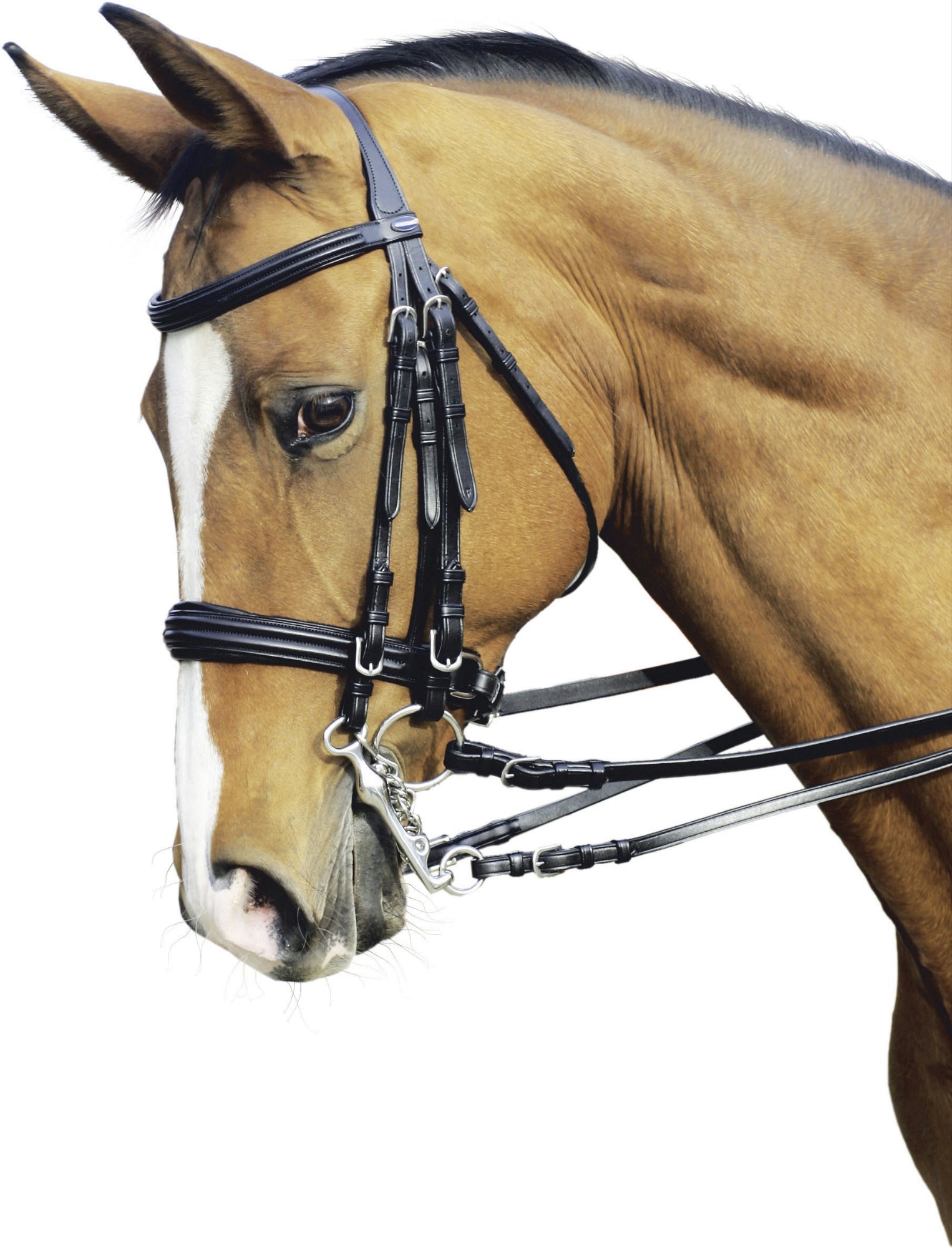 Kandare Lexington Natural Line, Art. - Reitstiefel Kandel