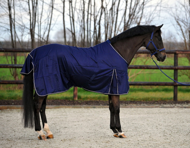 Fliegendecke EQuest Antifly | Regular - Reitstiefel Kandel - Dein Reitshop