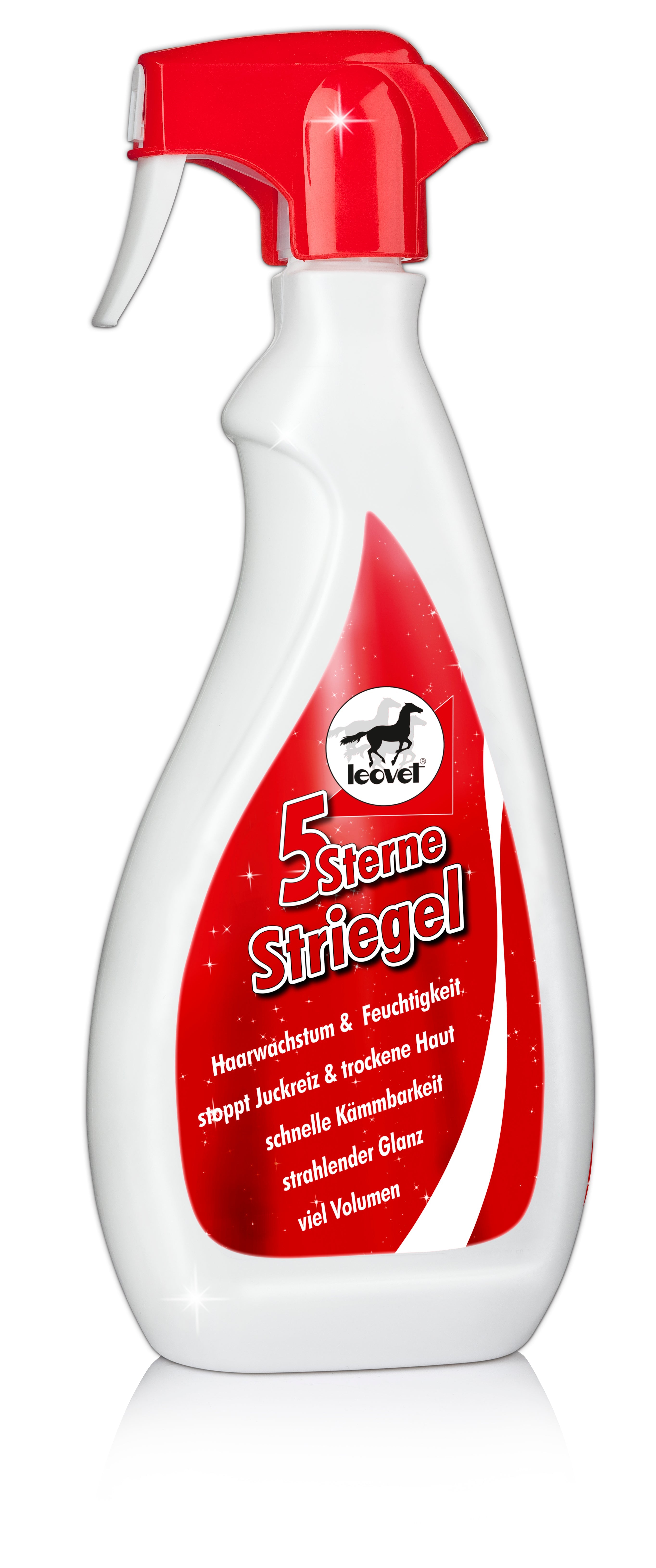5-Sterne Striegel - Reitstiefel Kandel - Dein Reitshop