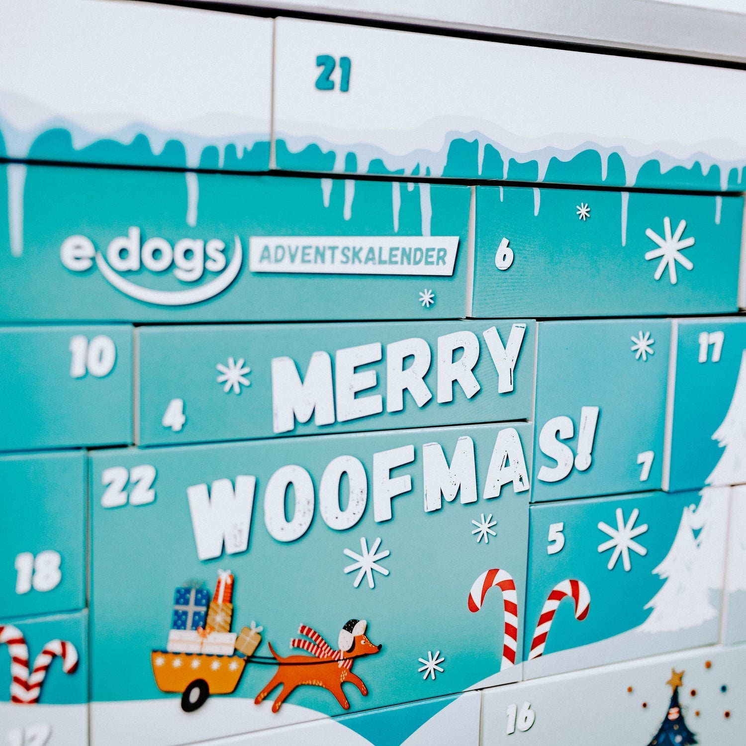 edogs Hunde Adventskalender XXL Box 2023 - Reitstiefel Kandel - Dein Reitshop