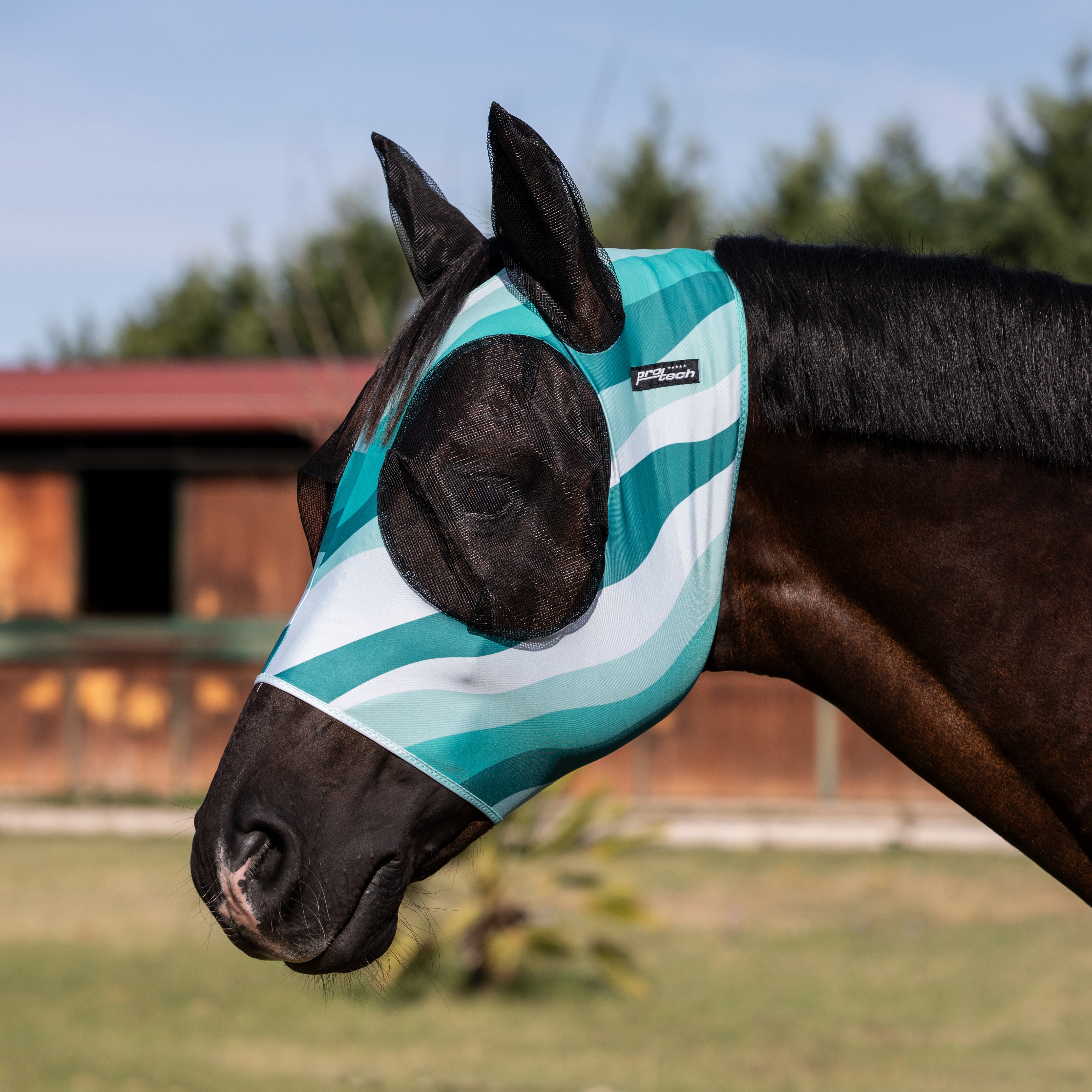 Fliiegenmaske Lycra Print - Reitstiefel Kandel - Dein Reitshop