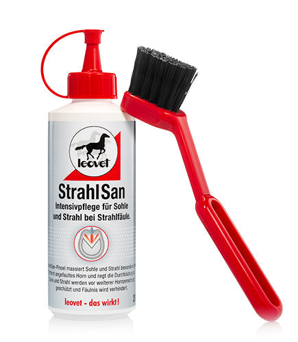 StrahlSan mit Strahlsan-Pinsel - Reitstiefel Kandel - Dein Reitshop
