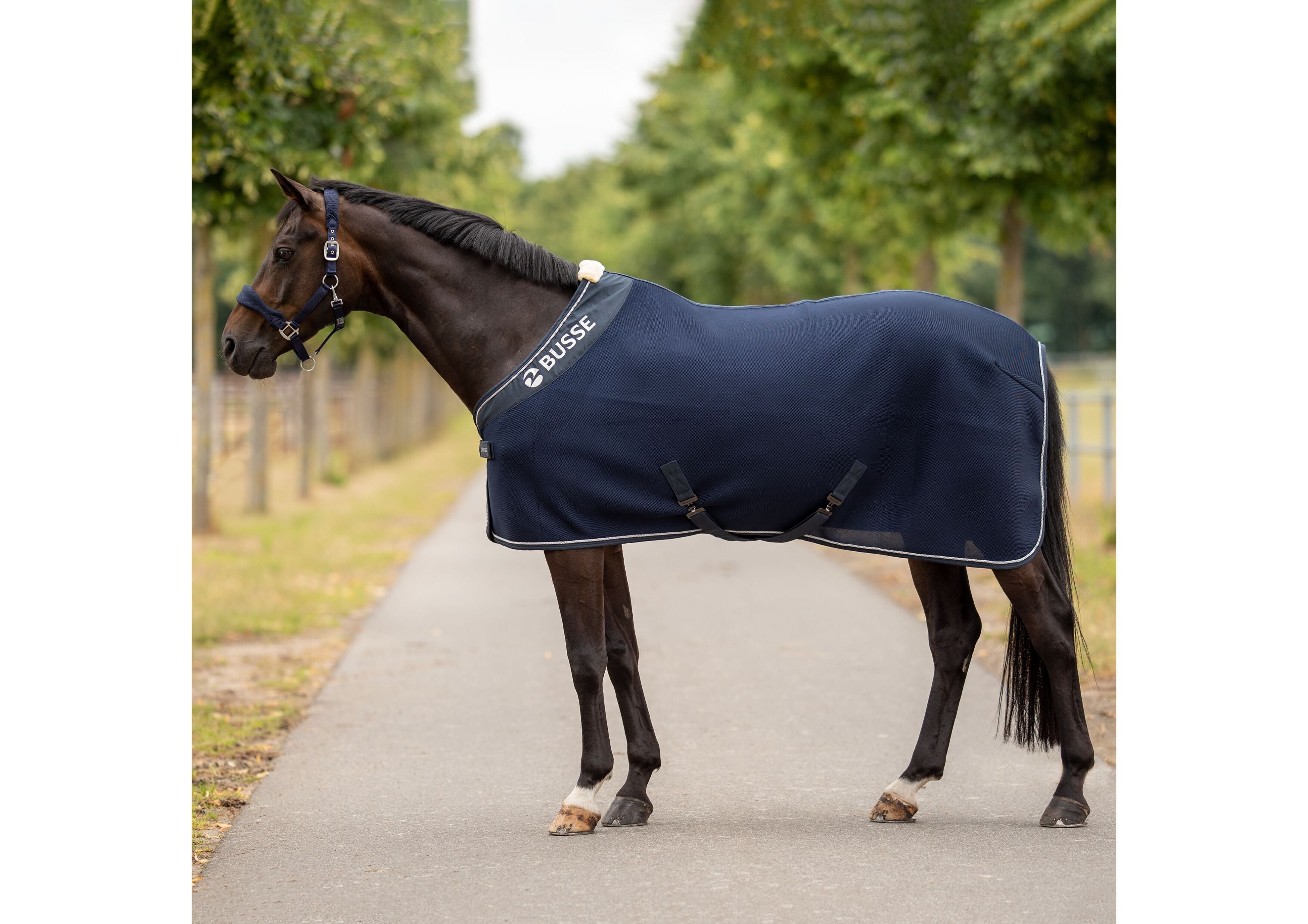Abschwitzdecke 3D AIR PREMIUM - Reitstiefel Kandel - Dein Reitshop