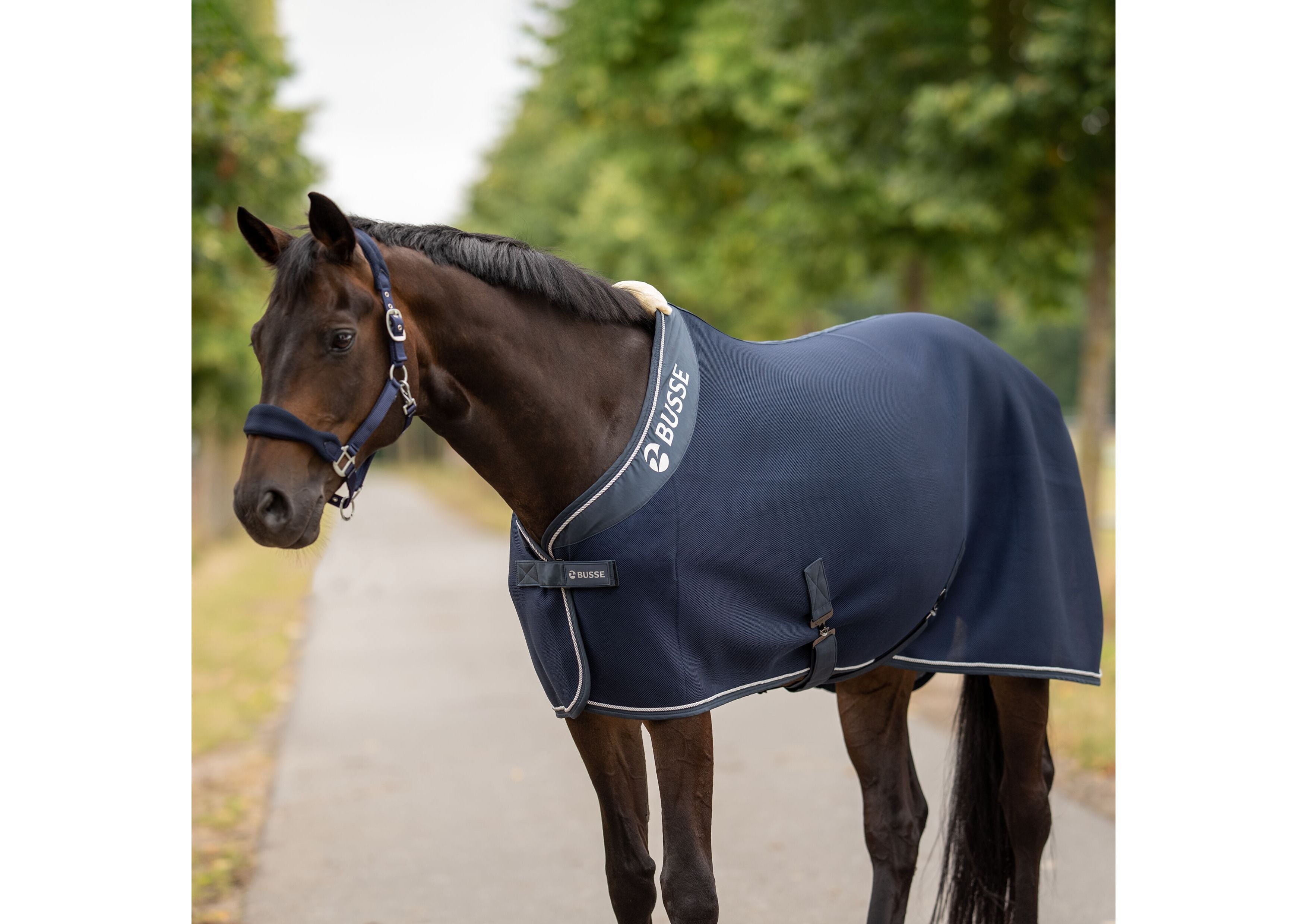 Abschwitzdecke 3D AIR PREMIUM - Reitstiefel Kandel - Dein Reitshop