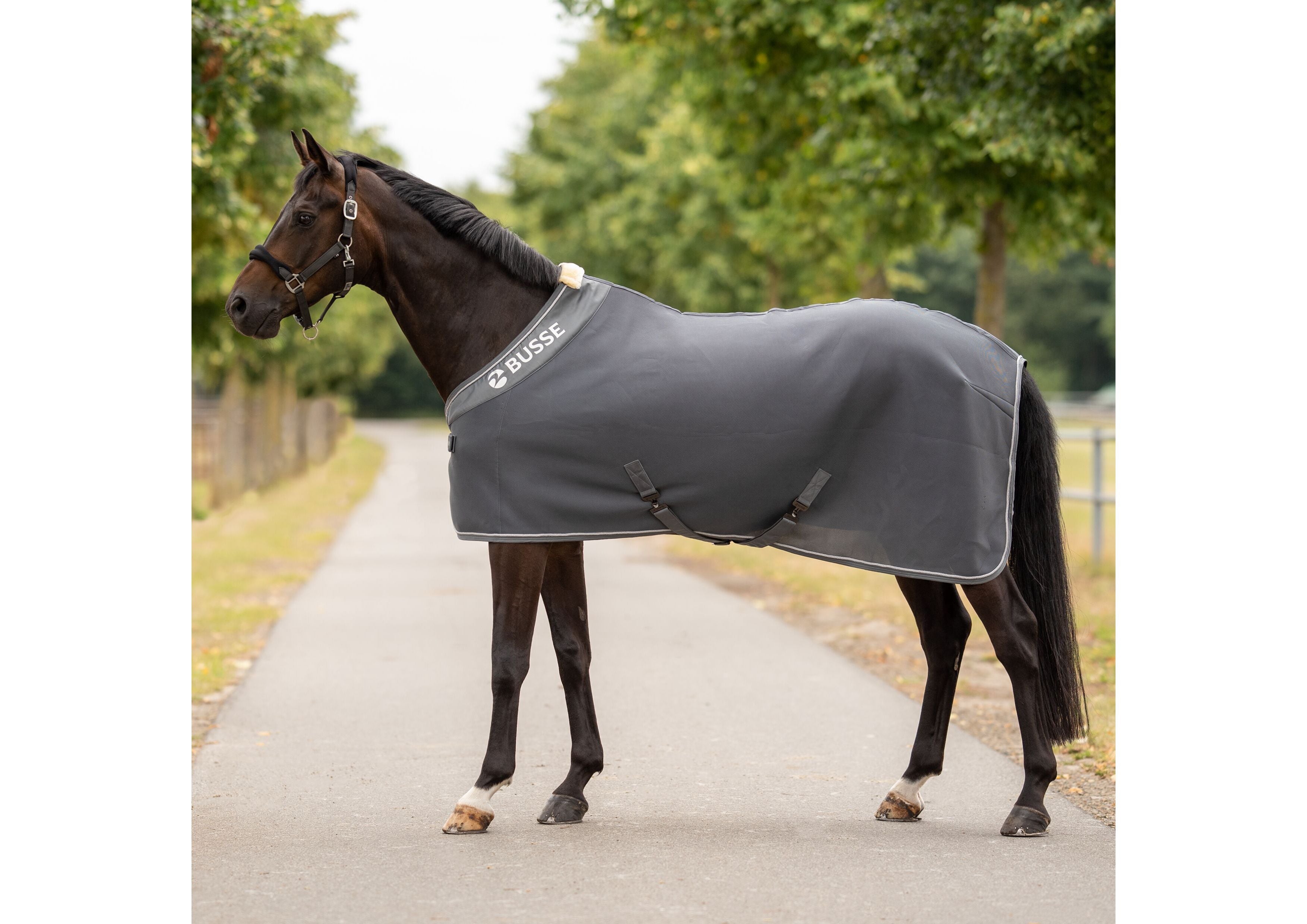Abschwitzdecke 3D AIR PREMIUM - Reitstiefel Kandel - Dein Reitshop
