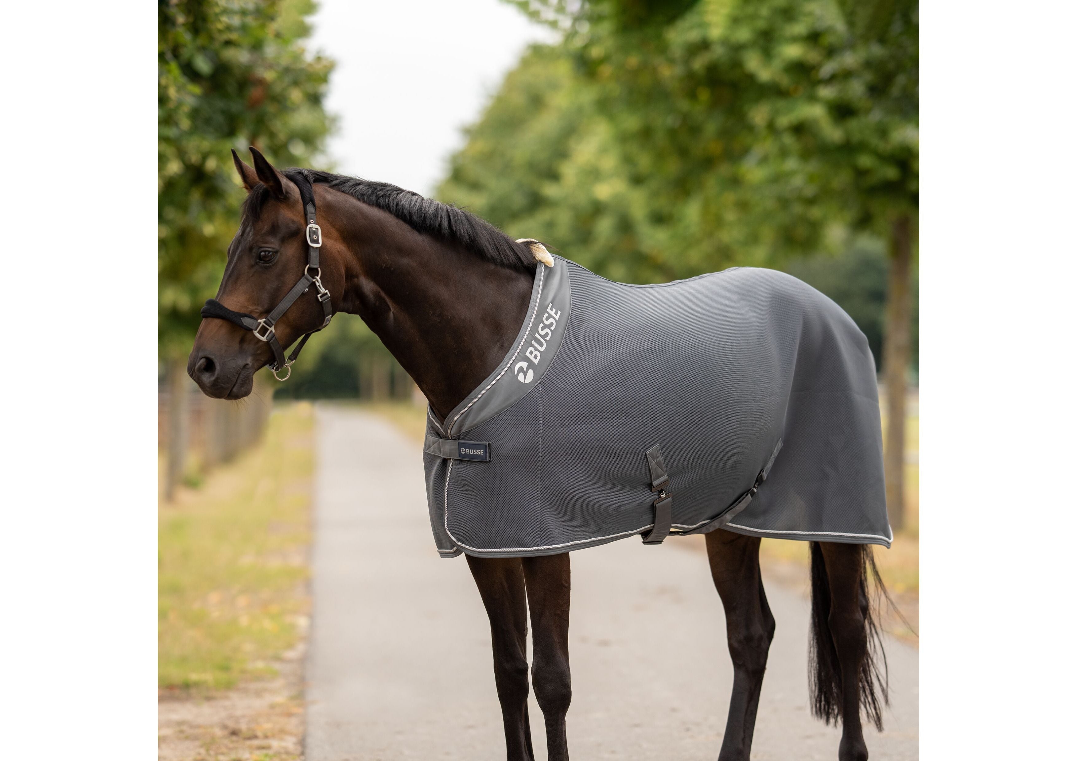 Abschwitzdecke 3D AIR PREMIUM - Reitstiefel Kandel - Dein Reitshop