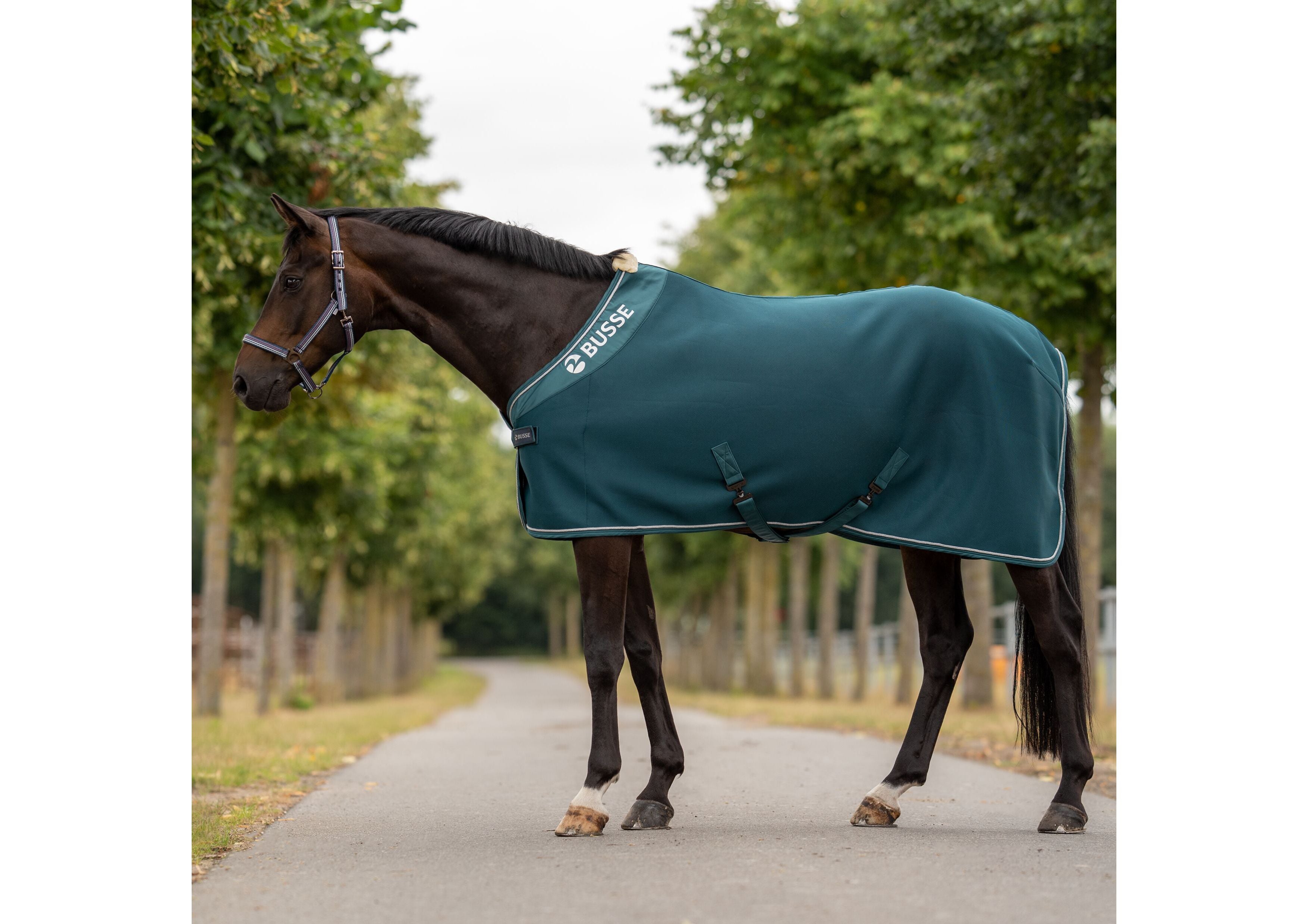 Abschwitzdecke 3D AIR PREMIUM - Reitstiefel Kandel - Dein Reitshop