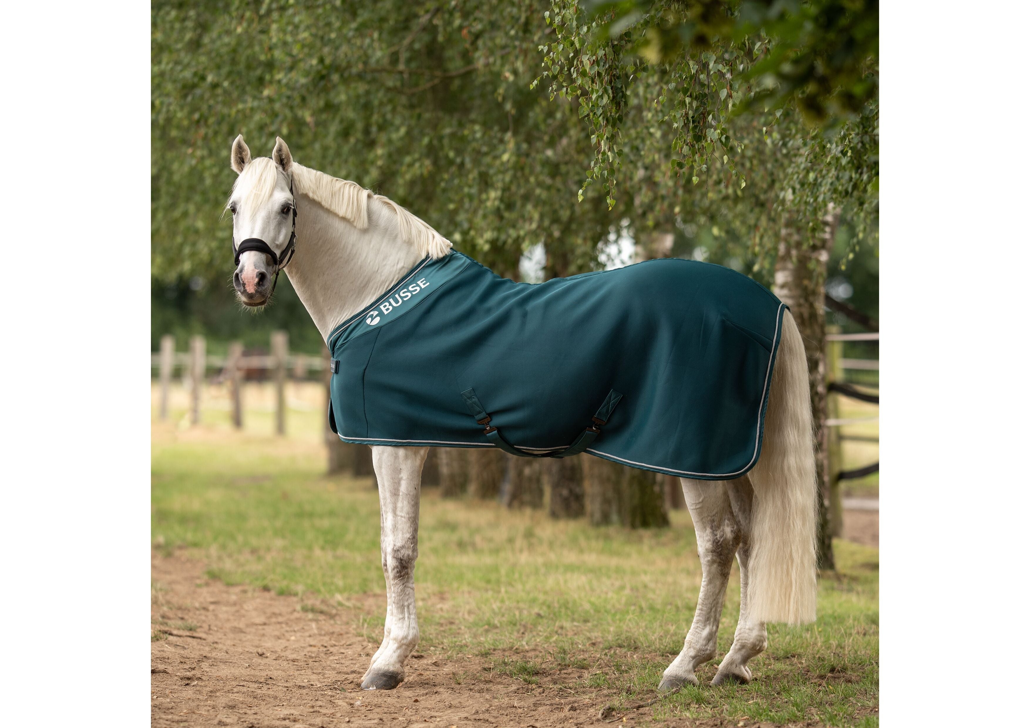 Abschwitzdecke 3D AIR PREMIUM - Reitstiefel Kandel - Dein Reitshop