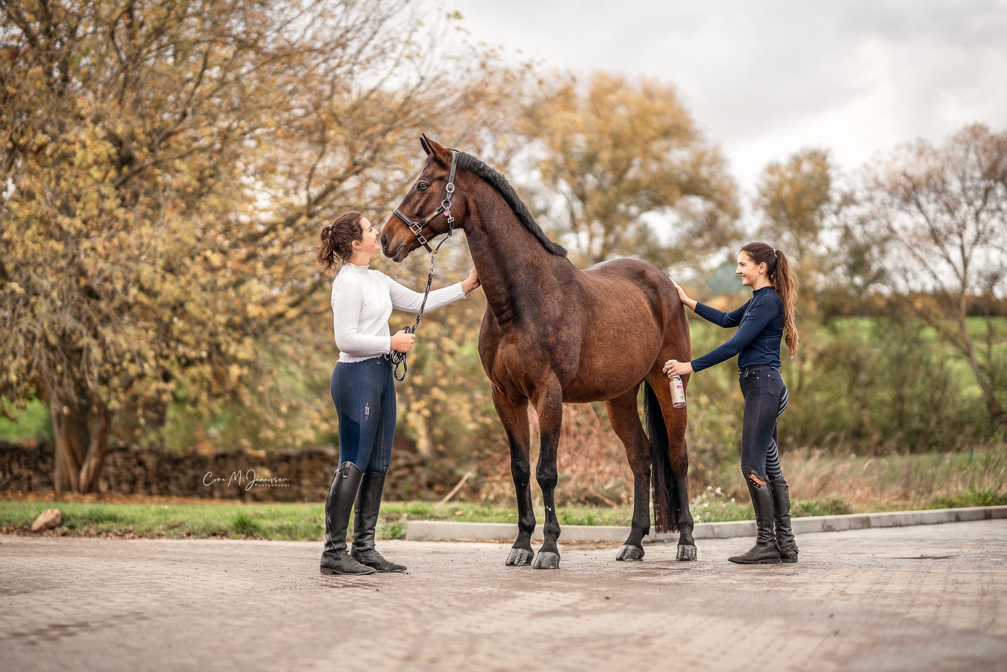 BrummerControl - Reitstiefel Kandel - Dein Reitshop