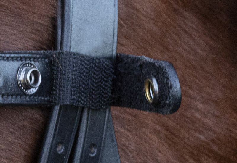 Browband Malaga - Reitstiefel Kandel - Dein Reitshop