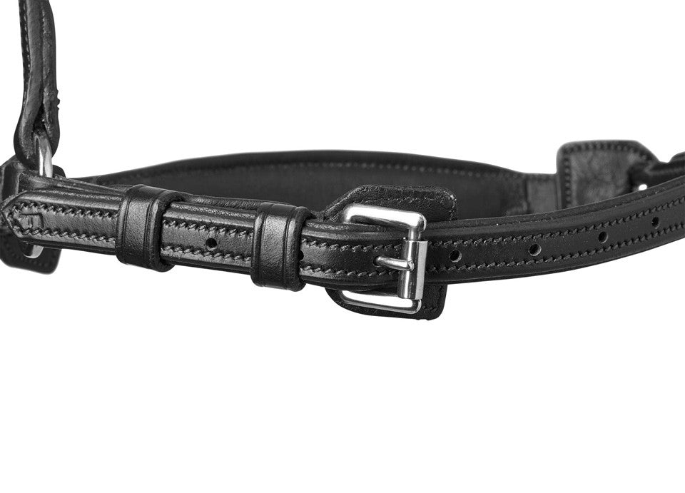 Noseband Turin Select - Reitstiefel Kandel - Dein Reitshop