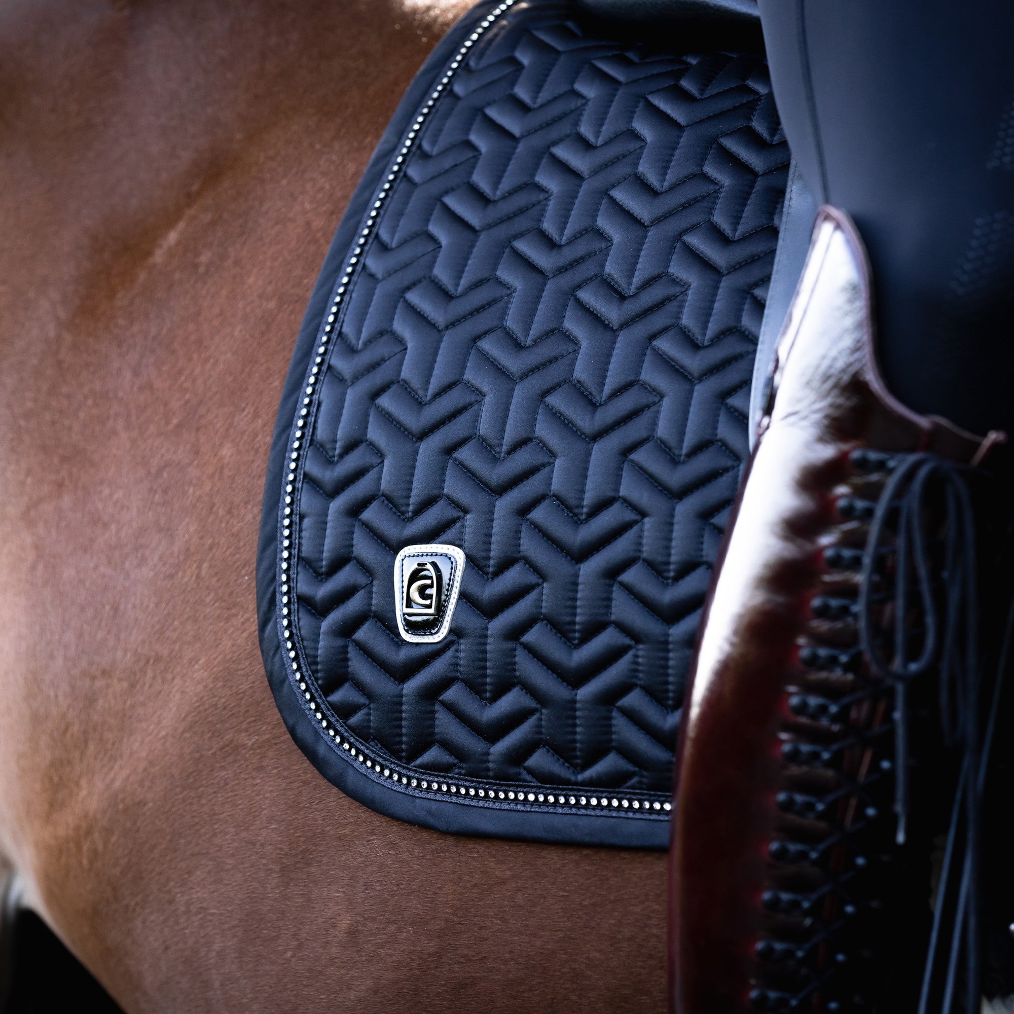 Cavallo Horsefashion 最高の快適性を実現するスタイリッシュな馬具 – ページ 3