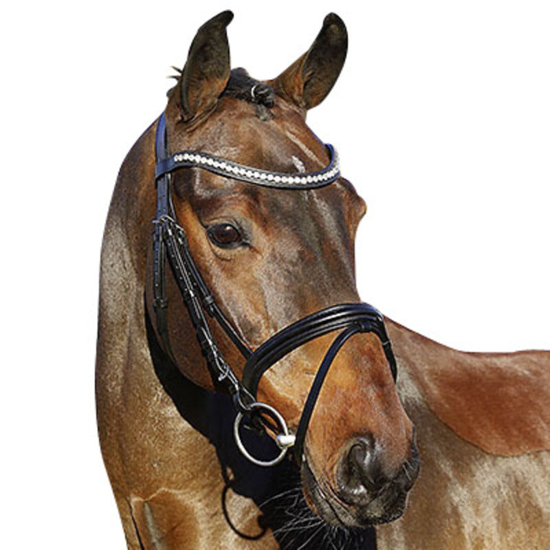 Bridle La Rochelle English RH EC senza redini