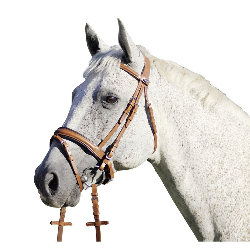 Bridle Southport Sangle de circulation suédoise British Line