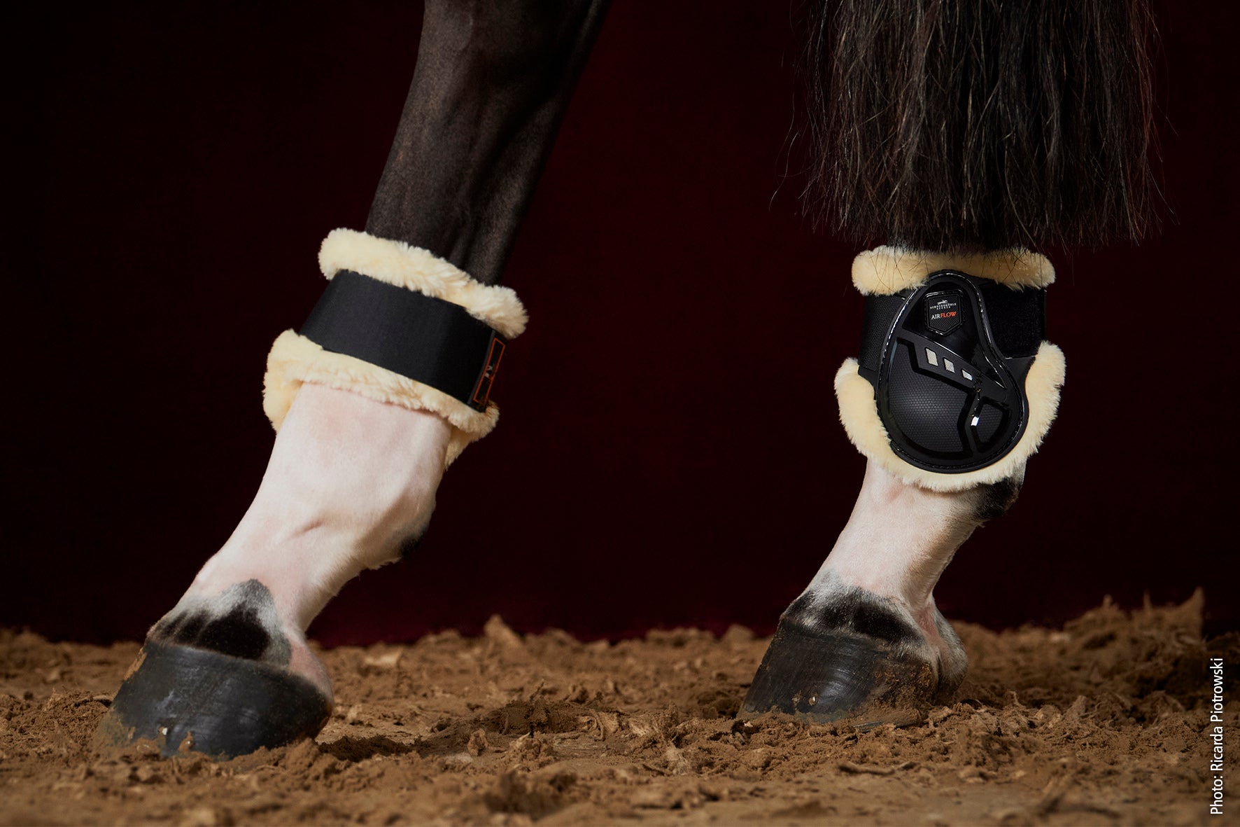 Gamaschen Air Flow Champion Fetlock Boots Fur - Reitstiefel Kandel - Dein Reitshop