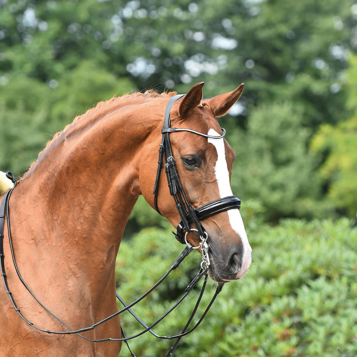 乗馬 むくち eskadron エスカドロン ホルター 乗馬用品 軽