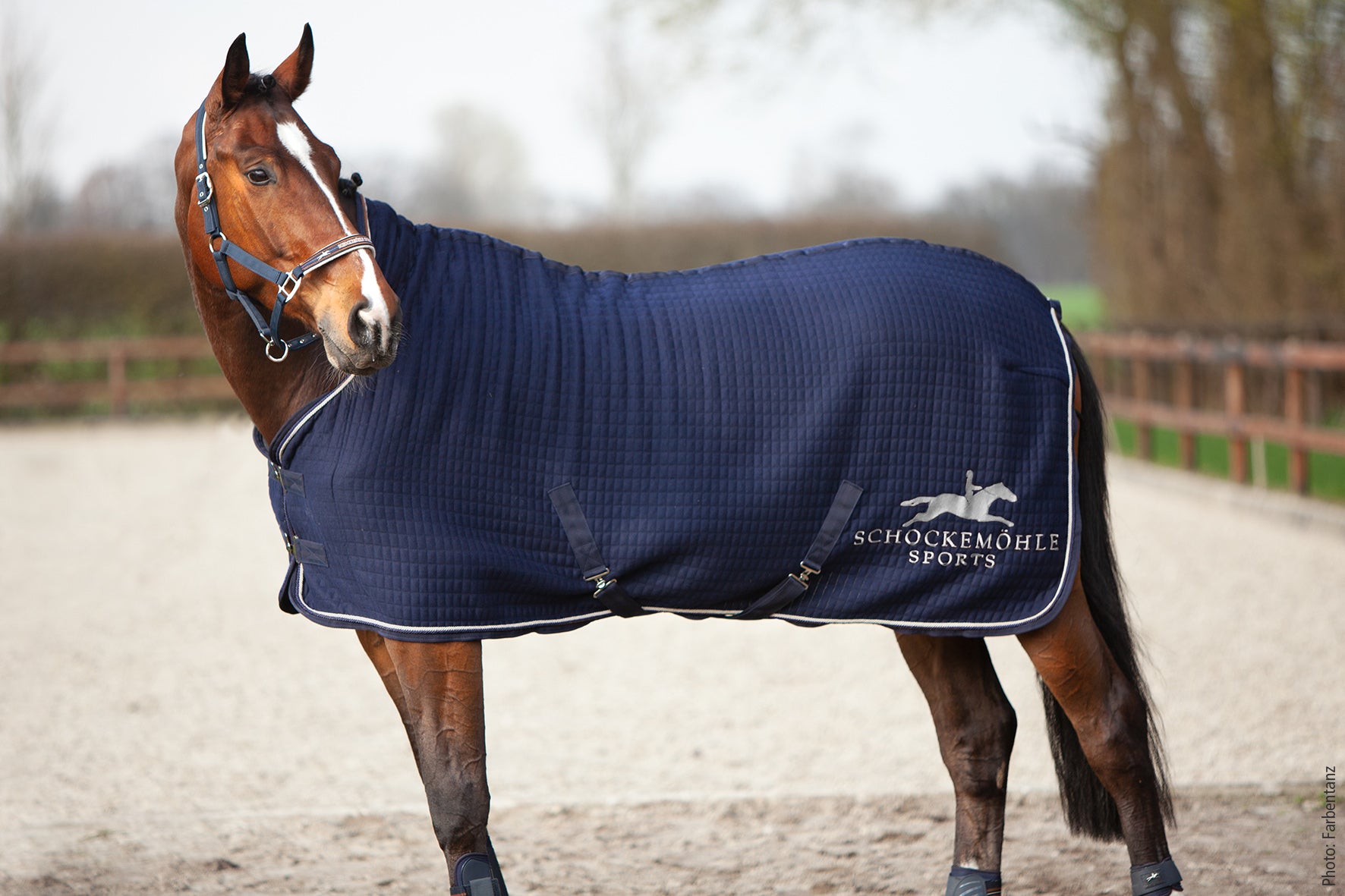 Abschwitzdecke New Heat Balance Rug - Reitstiefel Kandel - Dein Reitshop