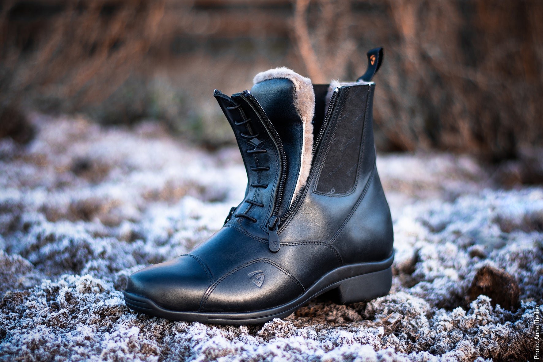 Stiefelette Stardust Frost - Reitstiefel Kandel - Dein Reitshop