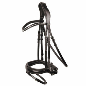 Brantford Bridle