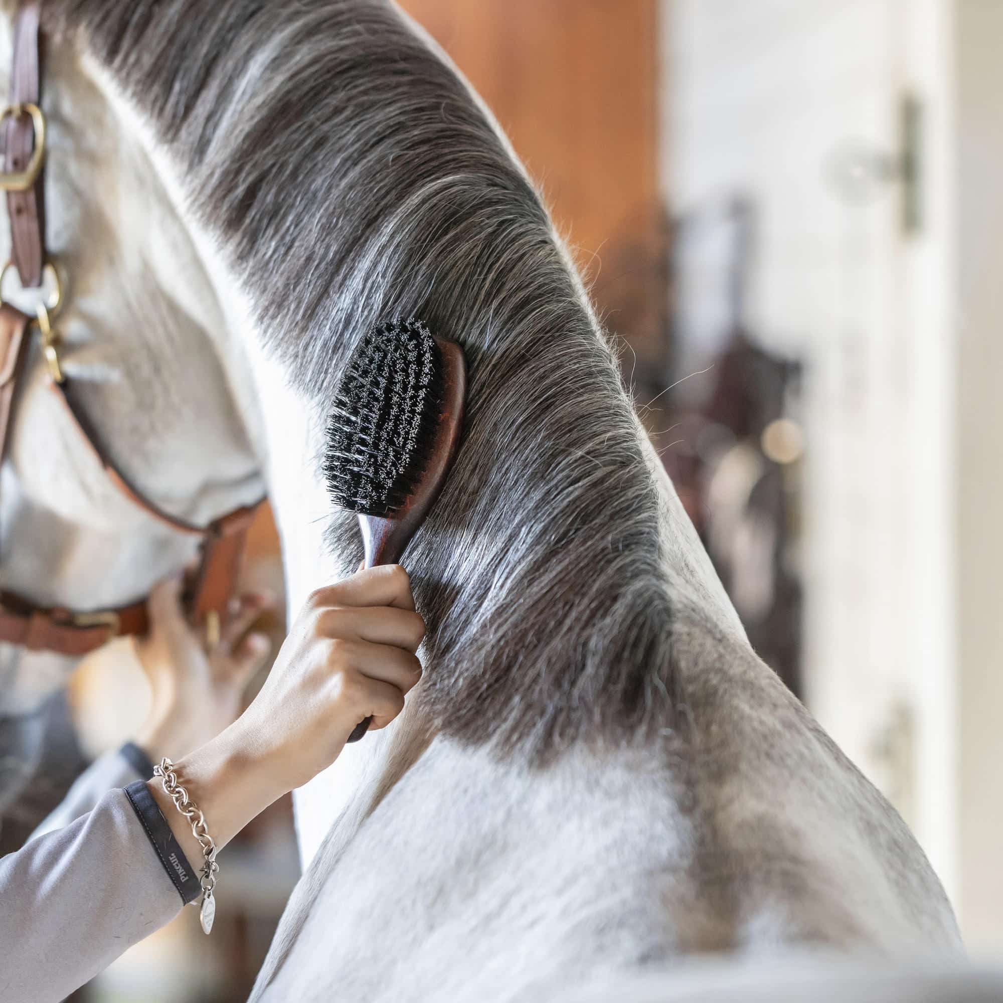 Mähnenbürste - Reitstiefel Kandel - Dein Reitshop