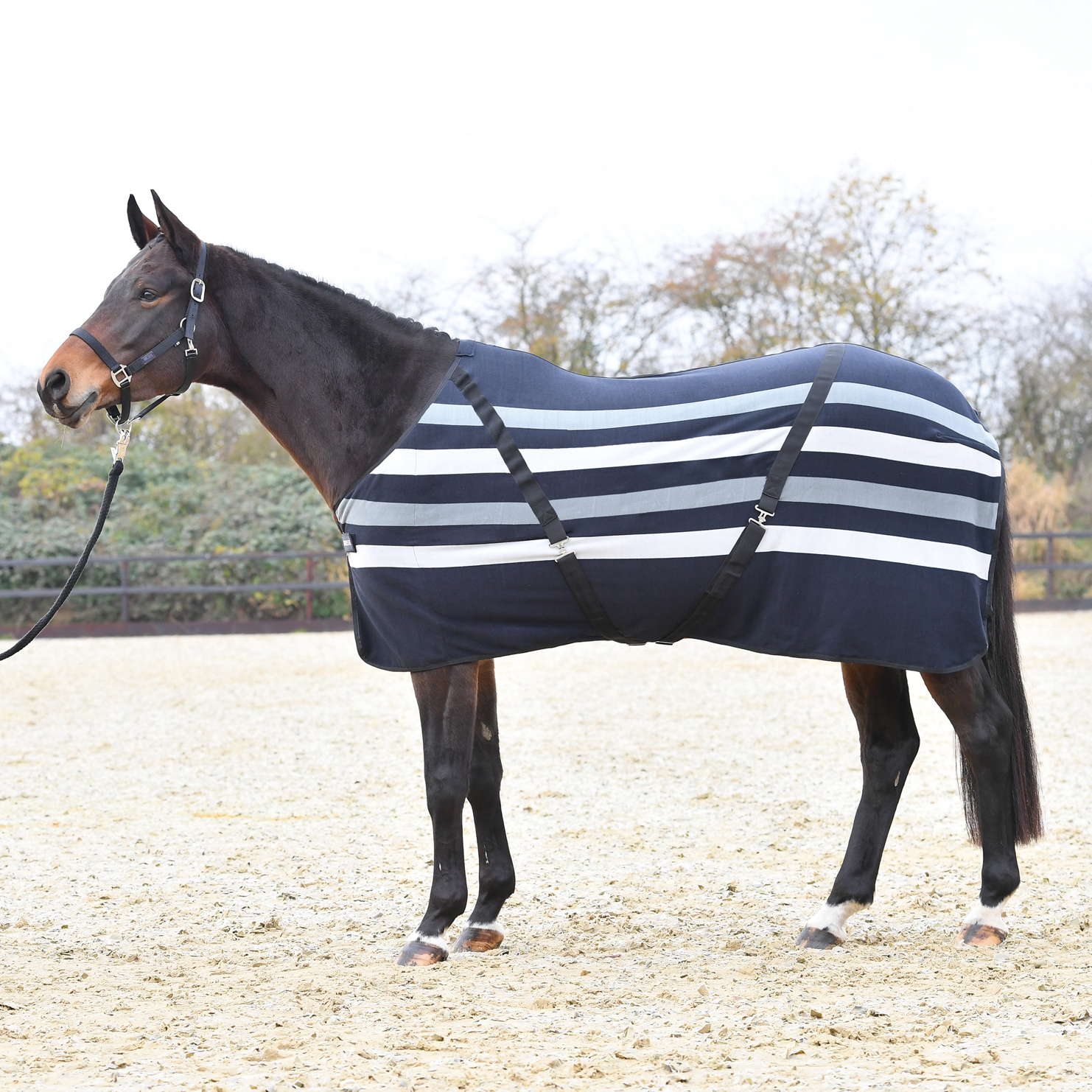 Abschwitzdecke STRIPES - Reitstiefel Kandel - Dein Reitshop