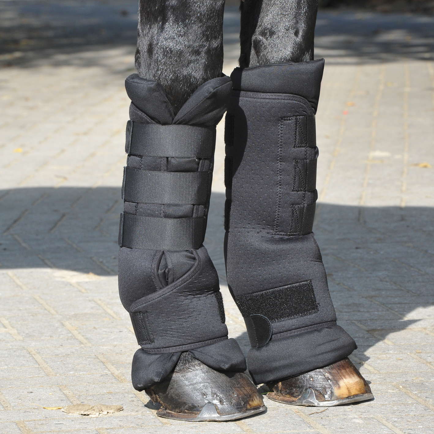 Stallgamaschen PROTECT - Reitstiefel Kandel - Dein Reitshop