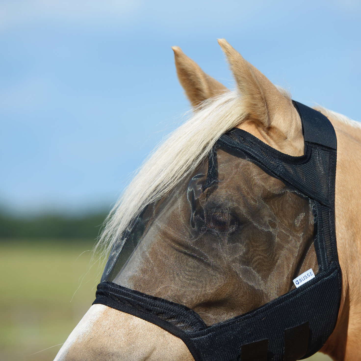 Fliegenmaske FLY GUARD - Reitstiefel Kandel - Dein Reitshop