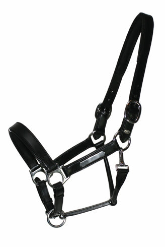 Leather halter Inscribe