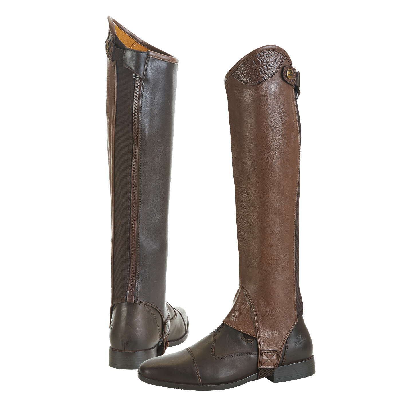 Chaps ORLANDO - Reitstiefel Kandel - Dein Reitshop