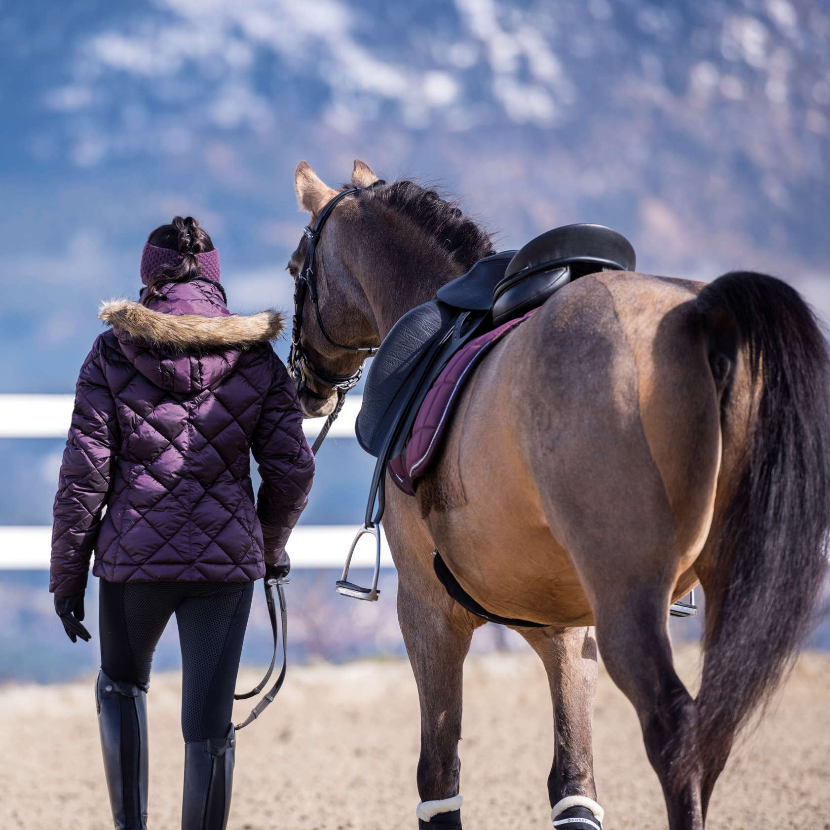 Steppjacke BRIANA - Reitstiefel Kandel - Dein Reitshop