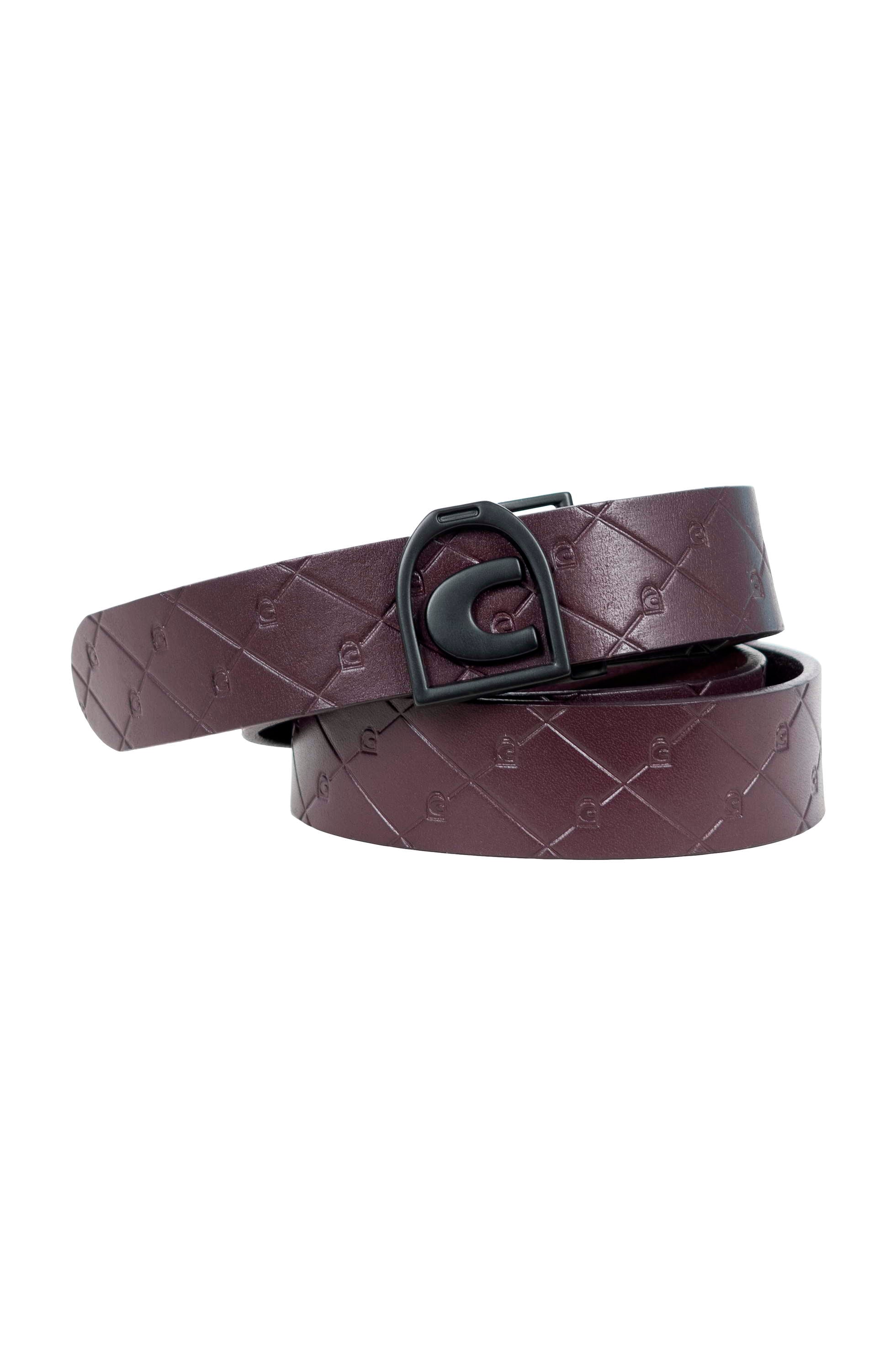 Belt cavalale