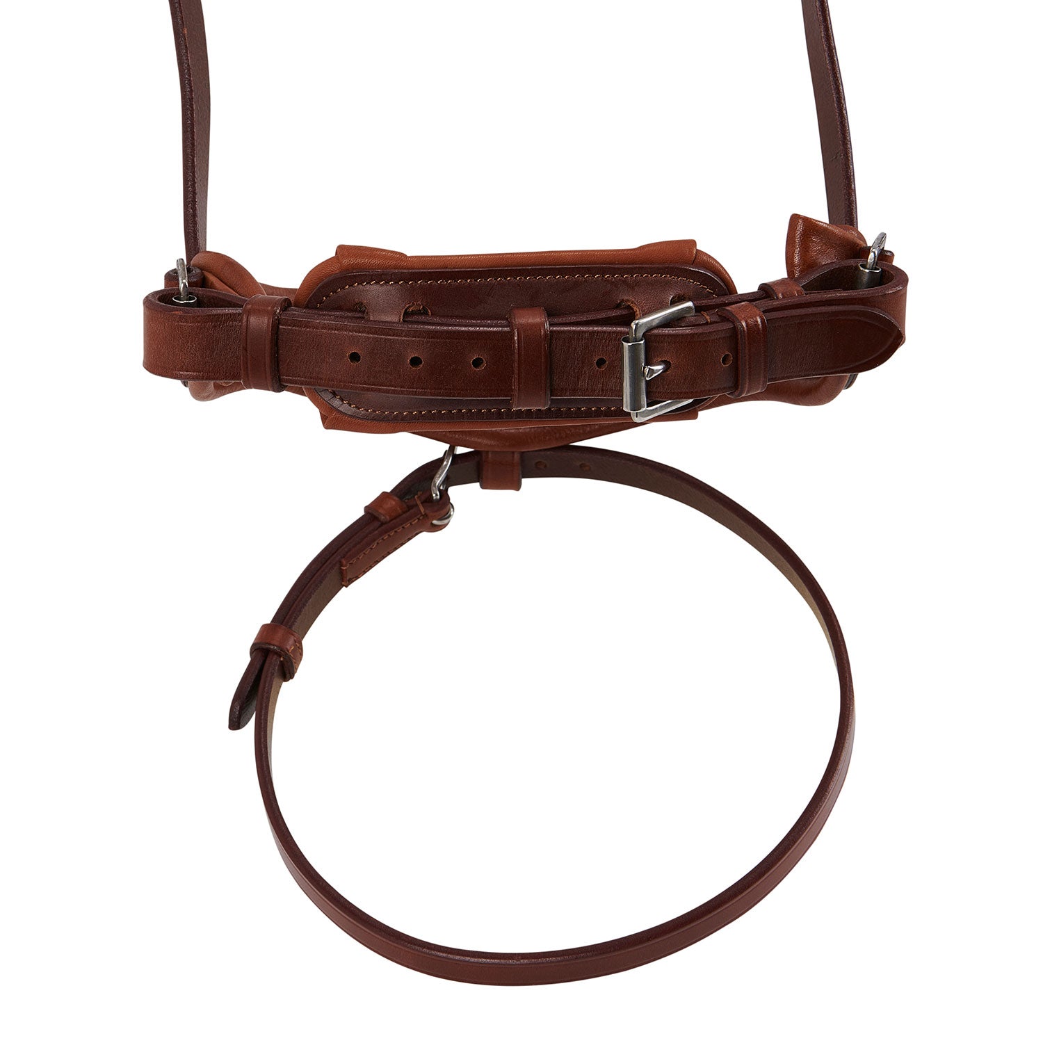 Bridle Maestà Bridle Becerro AC9535