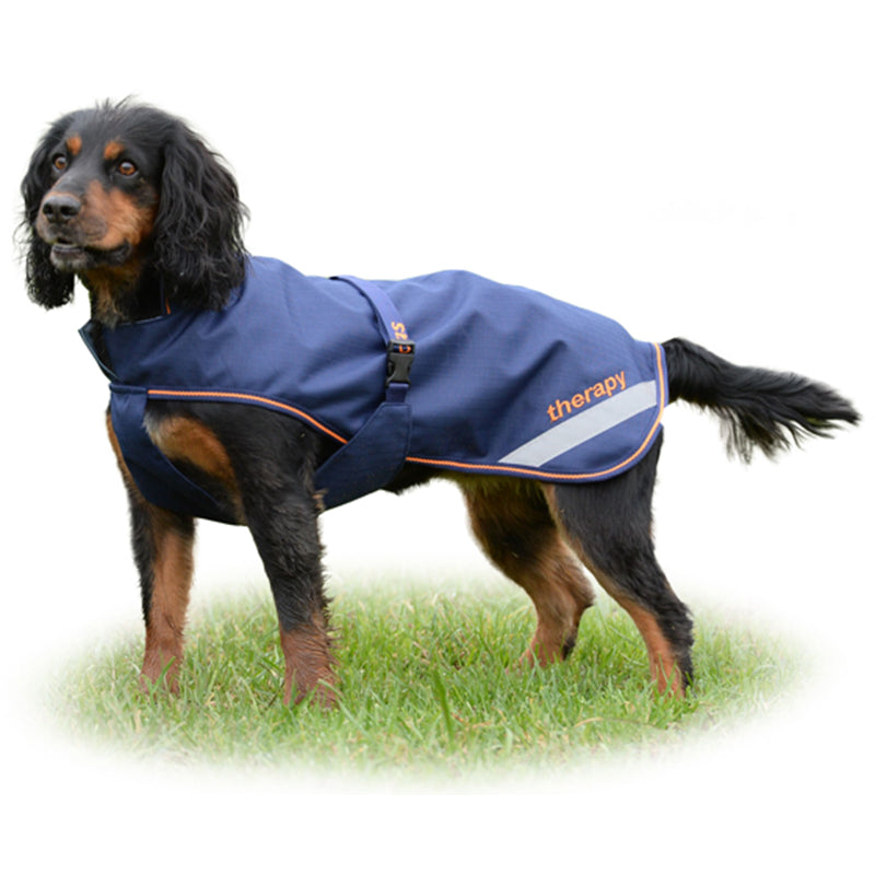Hundedecke Bucas Therapy Dog Rug - Reitstiefel Kandel - Dein Reitshop