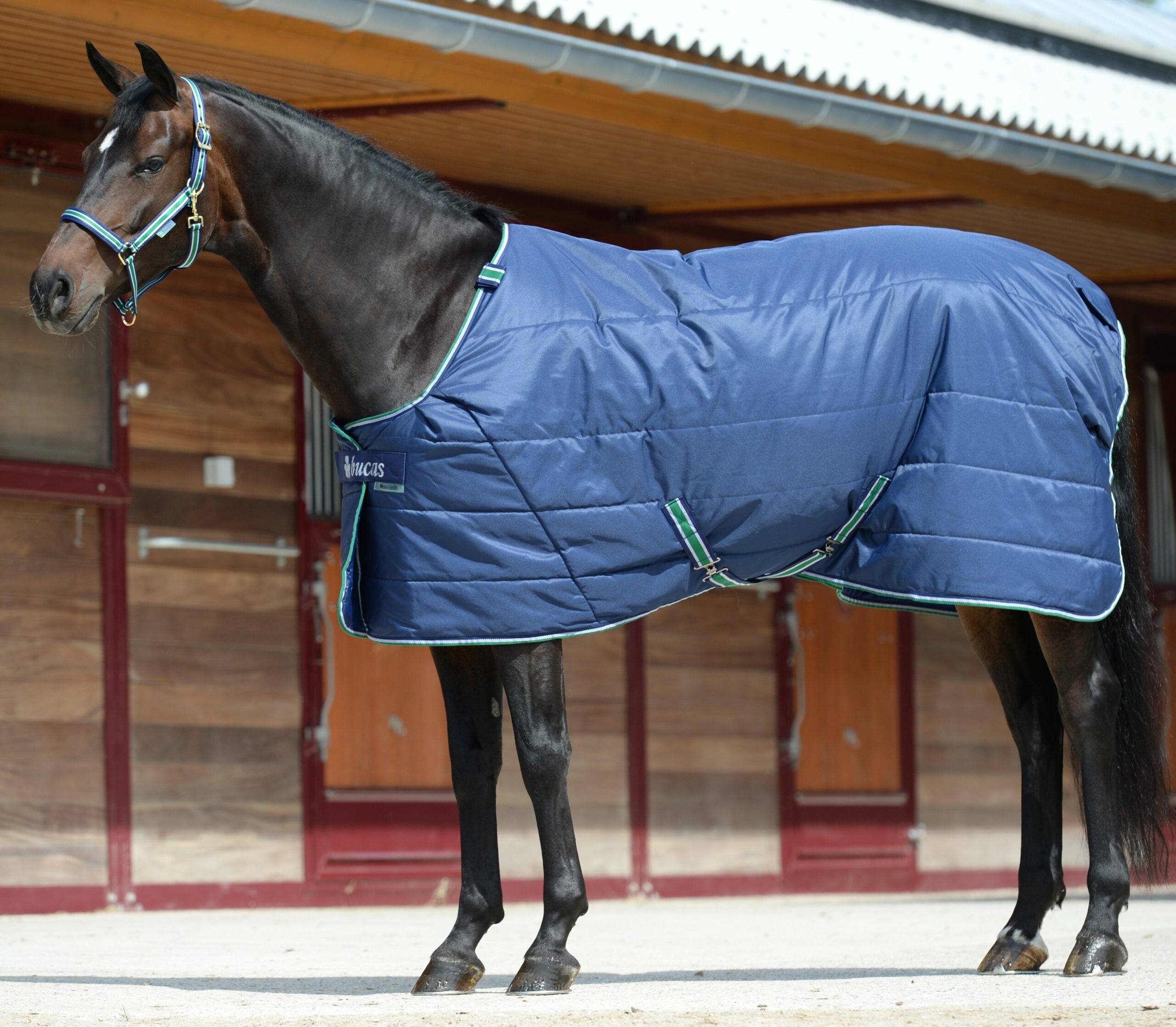 Unterdecke Bucas Quilt 150g stay-dry Big Neck - Reitstiefel Kandel - Dein Reitshop