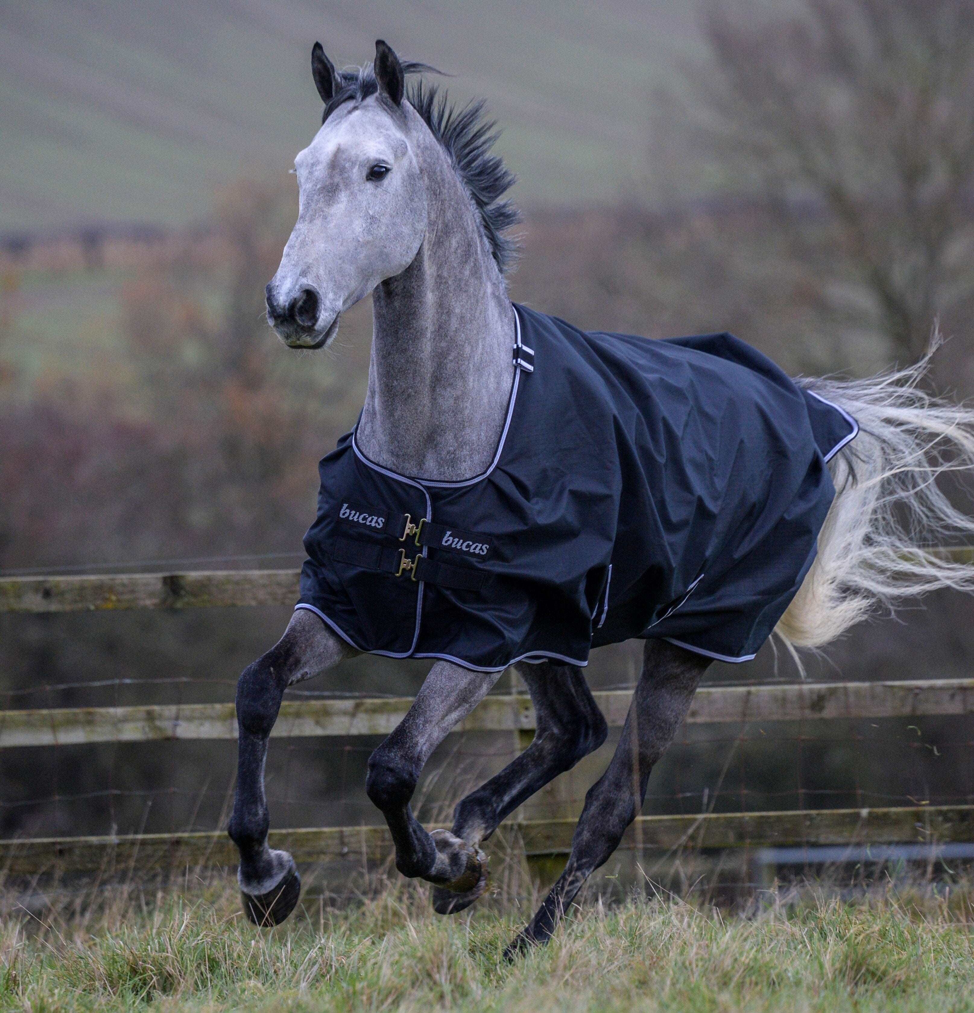 Weidedecke Trot Turnout 50 - Reitstiefel Kandel - Dein Reitshop