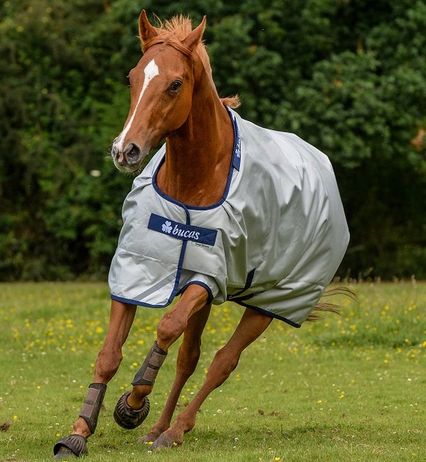 Weidedecke Power Turnout Big Neck - Reitstiefel Kandel - Dein Reitshop