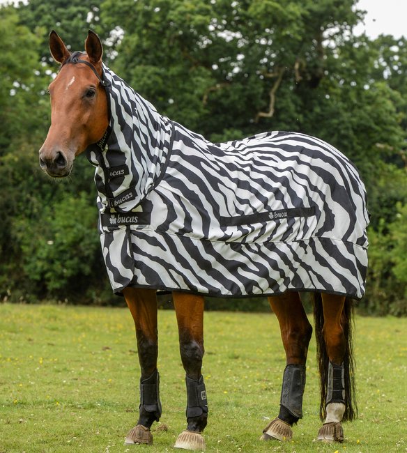 Ekzemerdecke Sweet-itch Zebra