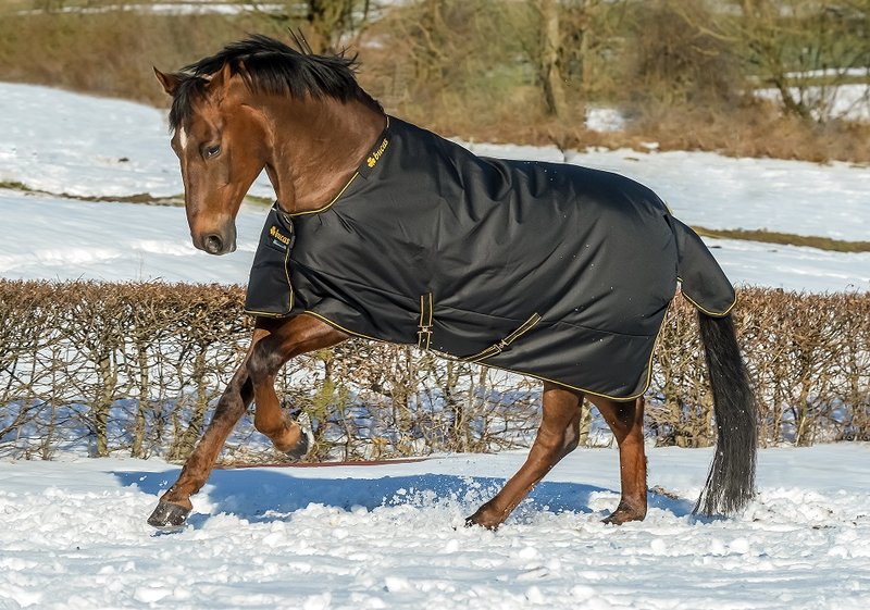 Weidedecke Irish Turnout 300 - Reitstiefel Kandel - Dein Reitshop