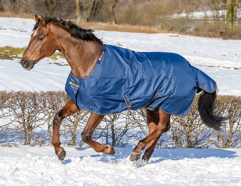 Weidedecke Irish Turnout 300 - Reitstiefel Kandel - Dein Reitshop