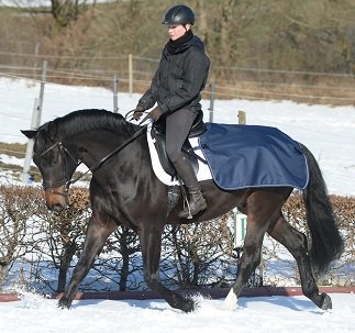 Ausreitdecke Bucas Quarter Sheet - Reitstiefel Kandel - Dein Reitshop