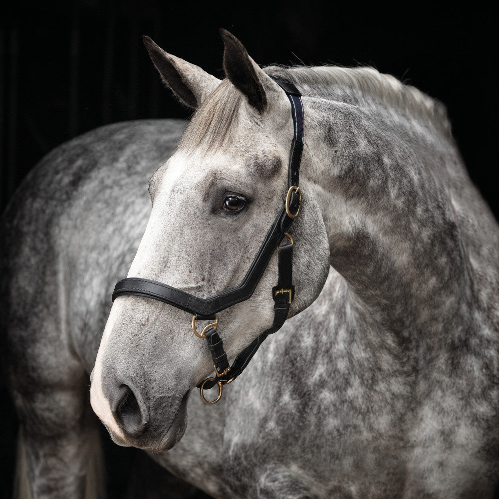 Rambo Micklem Headcollar - Reitstiefel Kandel - Dein Reitshop