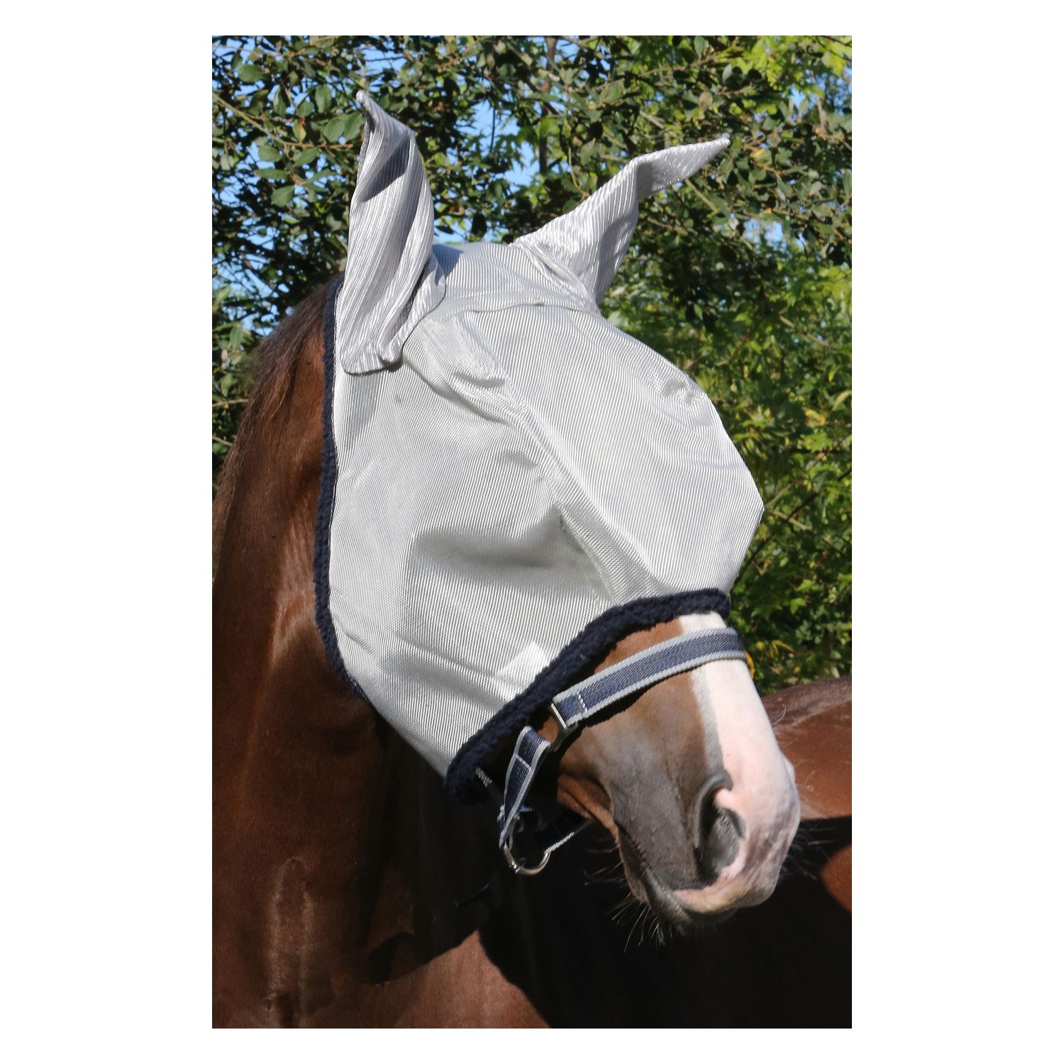 Fliegenmaske Amigo Finemesh FlyMask - Reitstiefel Kandel - Dein Reitshop