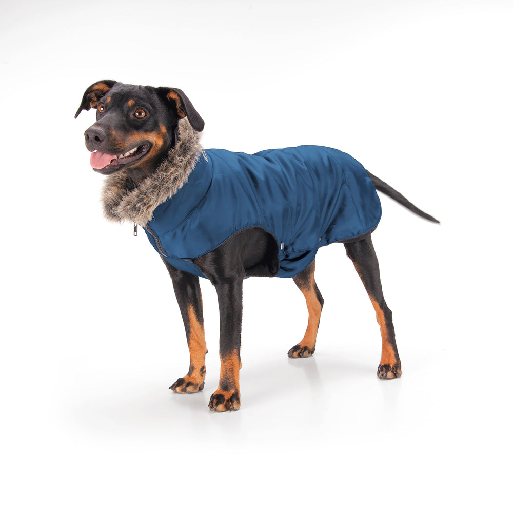 Hundemantel QUILTED Basics - Reitstiefel Kandel - Dein Reitshop