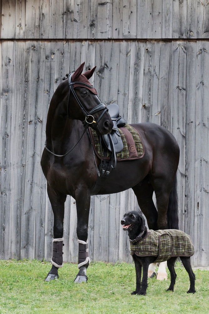 Bouclé de manteau de chien (platine 24/25)