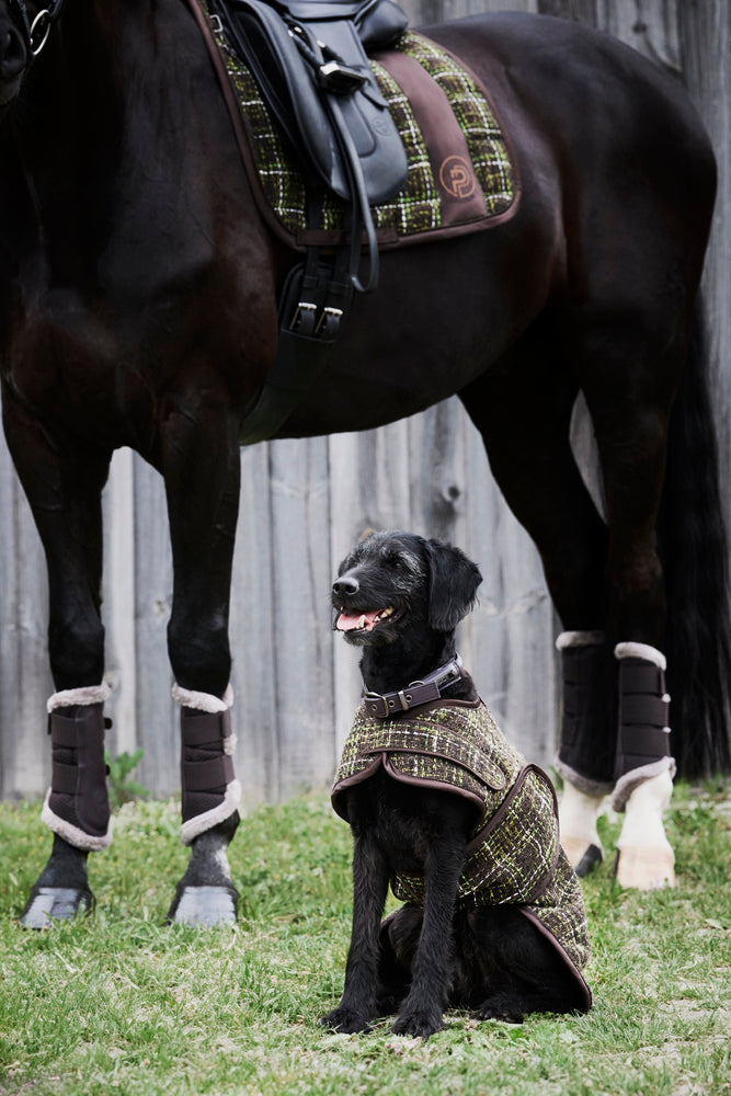 Bouclé de abrigo para perros (platino 24/25)