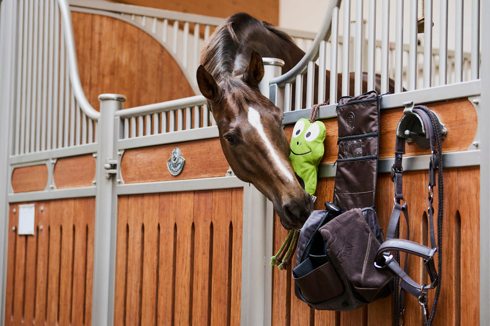 Jouet à cheval fausse grenouille en cuir (platine 24/25)