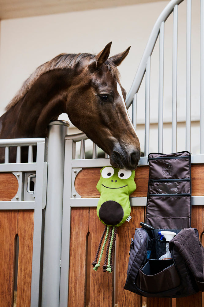 Jouet à cheval fausse grenouille en cuir (platine 24/25)